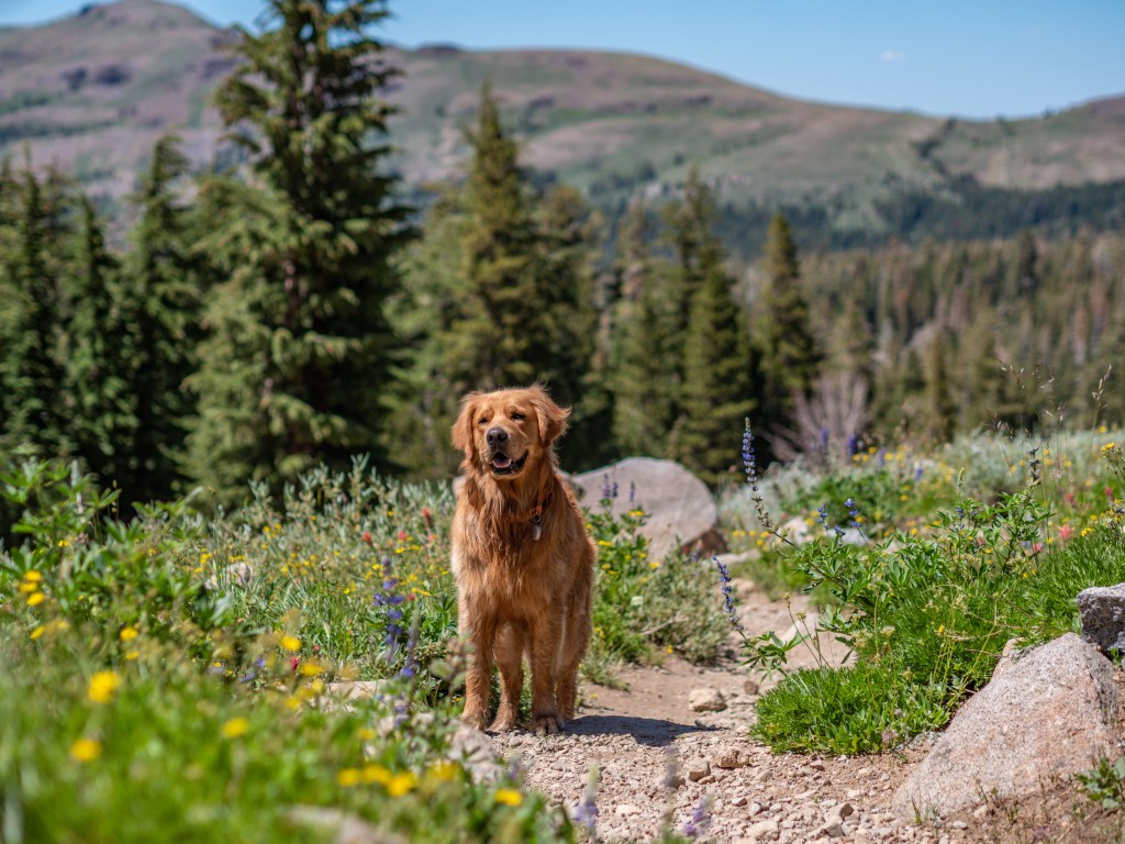 about contact connor childress photography